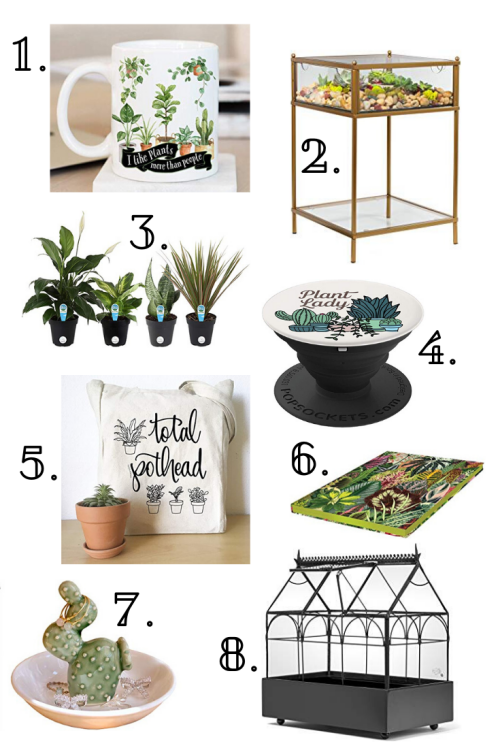 Houseplant Gift Ideas, Houseplant Products, Plant Lady Gift Ideas, Crazy Plant Lady, Plant Lady Gift Guide, Houseplant Gift Guide