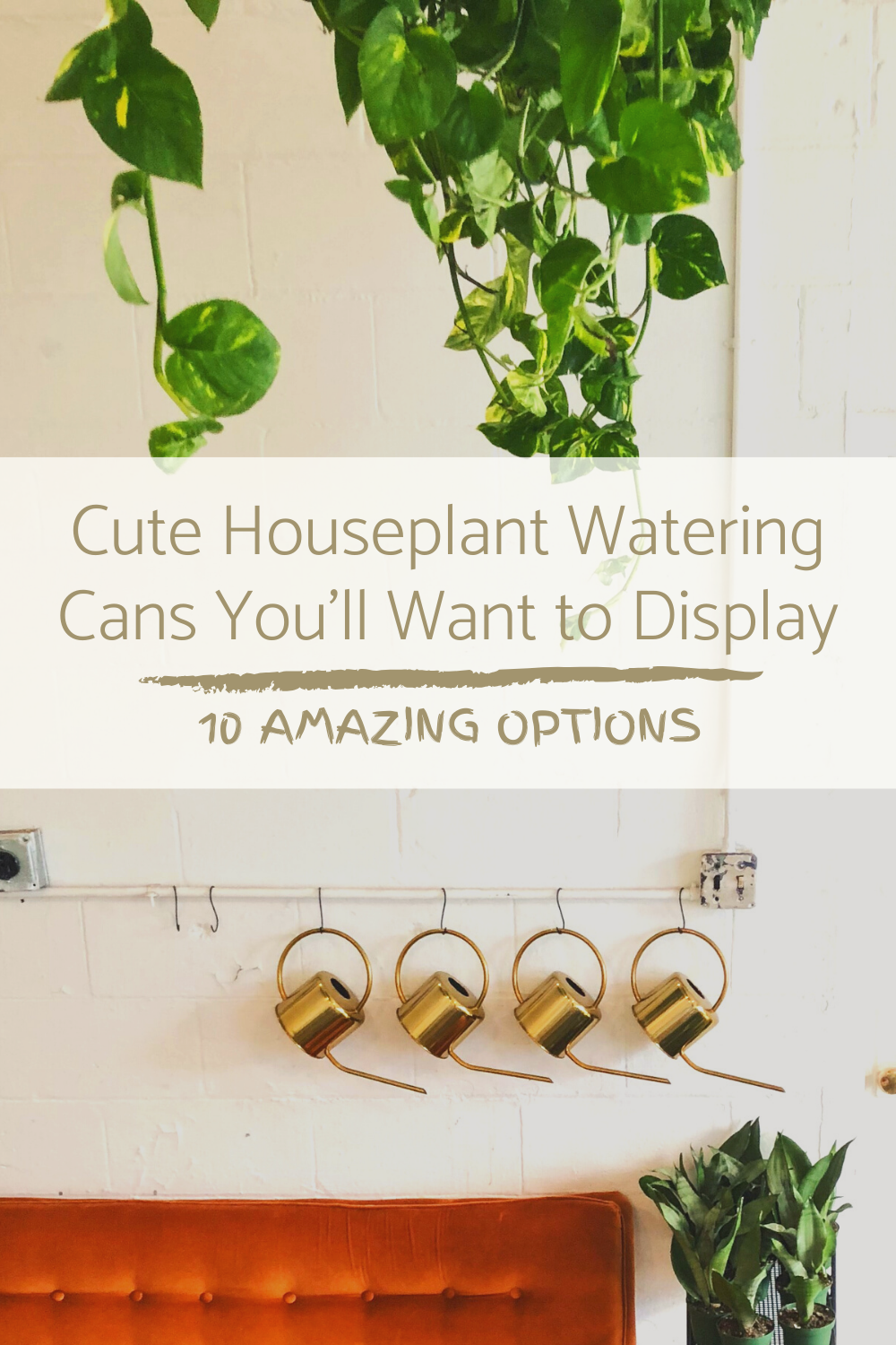 10 Indoor Watering Cans You'll Want to Keep on Display | www.thatplantylife.com