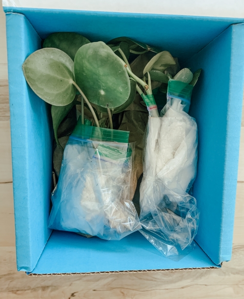 How to Ship Plants, How to Plant Swap