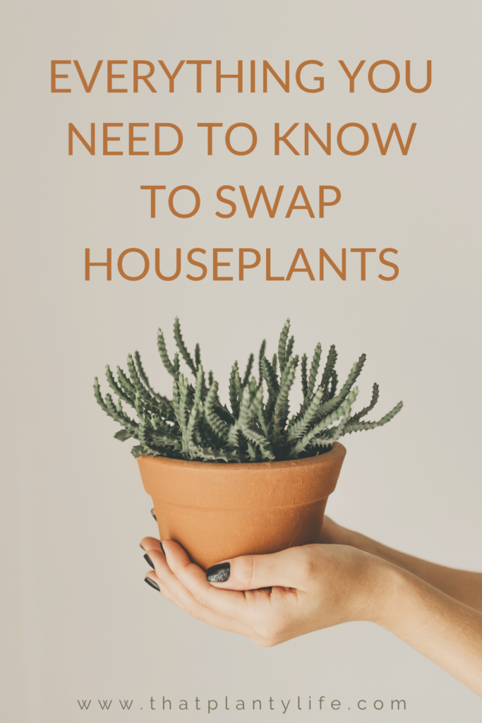 How to Complete A Plant Swap | How To Ship Plant Cuttings | www.thatplantylife.com