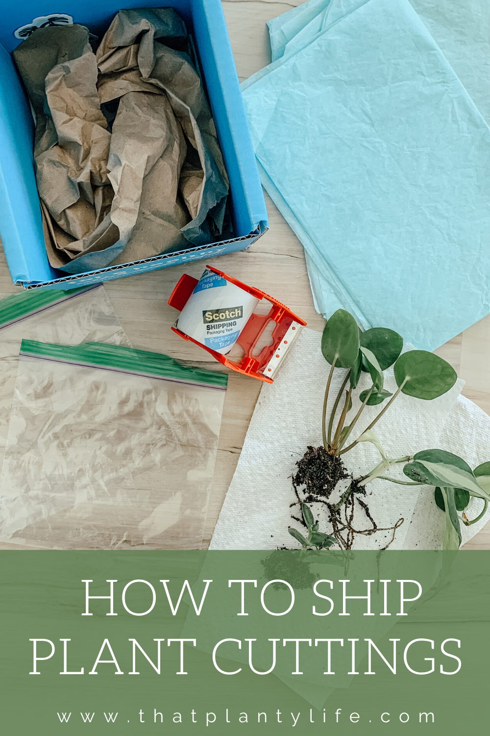 How To Ship Plant Cuttings | How to Complete A Plant Swap | www.thatplantylife.com