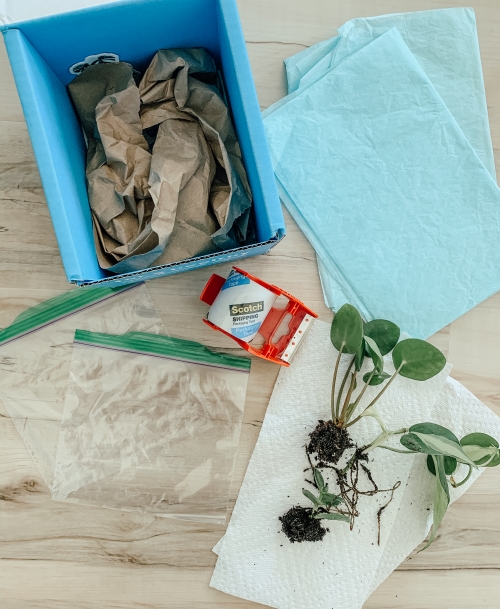 How to Ship Plants, How to Plant Swap