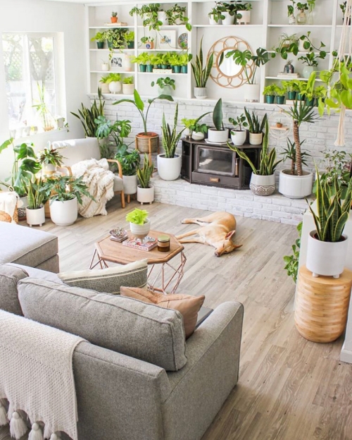 Dreamy Plant Filled Living Room | Snake Plant Care Guide | www.thatplantylife.com