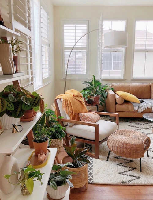 Cozy Living Room Corner | Maranta Prayer Plant Care Guide | www.thatplantylife.com